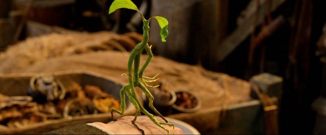 fantastic-beasts-and-where-to-find-them-bowtruckle