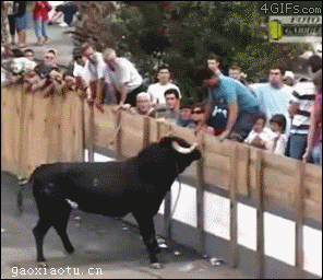 top-176-funny-accident-compilations-gifs-31